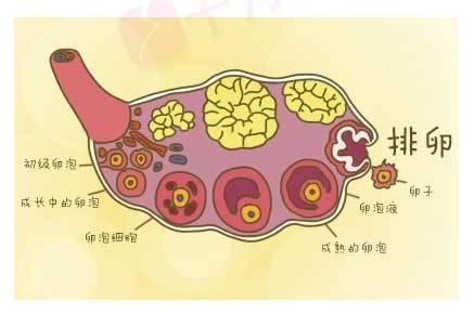 下载 (1).jpg