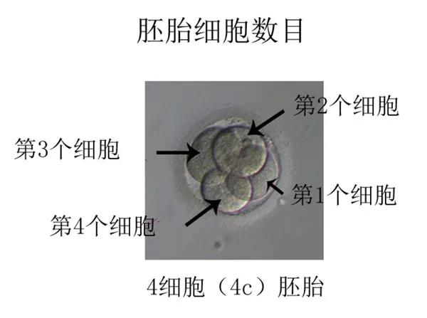 微信图片_20200814172239.jpg